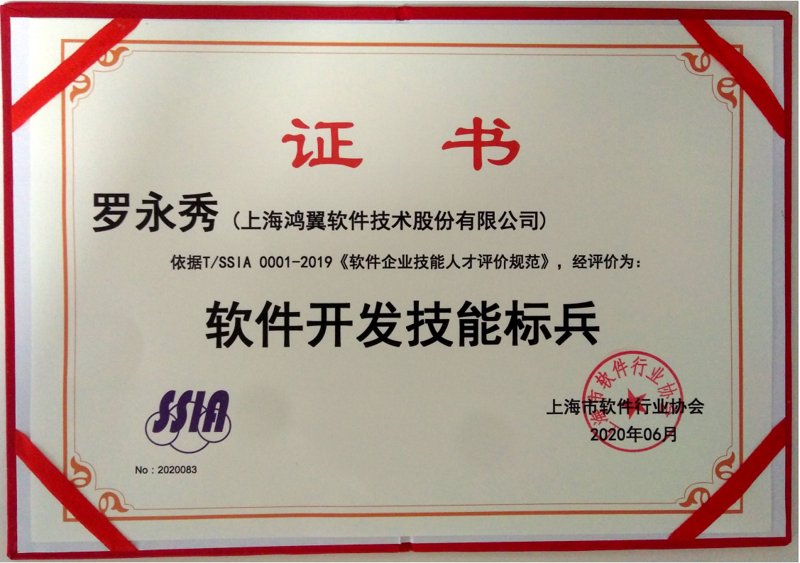 软件开发行业的时代风帆:上海作为创新引擎的角色